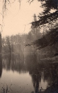 Romantic Trees Seine near Paris Post War Photo 1945