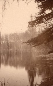 Romantic Trees Seine near Paris Post War Photo 1945