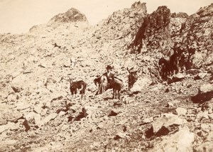 Parieres Shepherd Goat Berger Chevres Alpes Photo 1900