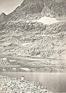 Lac Crupillouse Lake Alpes Alps Mountain Photo 1900
