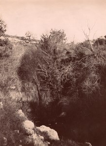 Tuverende Pyrenees Montagne Nature Photo 1900