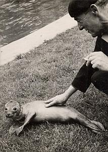 Young seal & Keeper Maerten Zoo Lille Old Photo 1954