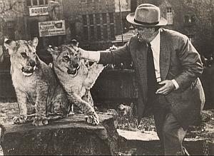 Lions & Man Circus Wild Life Zoo Old Photo 1950