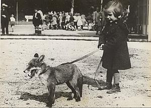 Young Lady & Fox Wild Life Zoo Duisburg Old Photo 1953