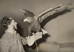 Jacques Bouillaud & His Sea Eagle Old Photo 1954