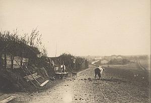First World War WWI Harvest France Old Photo 1916