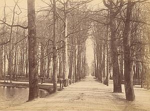 Den Haag Wood Park Canal Netherlands old Photo 1890