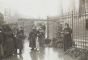 Paris Marchandes Buis Jour des Rameaux Old Photo 1914