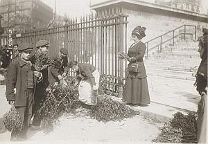 Paris Marchandes Buis Jour des Rameaux Old Photo 1914