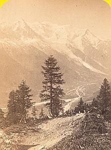 Alpes Mont Blanc Panorama La Flegere Old CDV Photo 1869