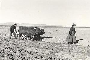 Peru Titicaca Lake Inca Indian Life Decool Photo 1970