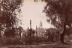 Italy Bordighera Garden Panorama old Jean Gilletta Photo 1880'