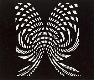 Psychedelic Unusual Artistic Study Photogram 1970'