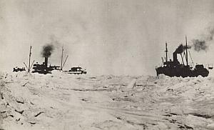 Earless Seal Hunting Canada Winter Old Photo 1880's