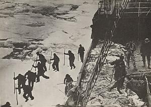 Earless Seal Hunting Canada Winter Old Photo 1880's