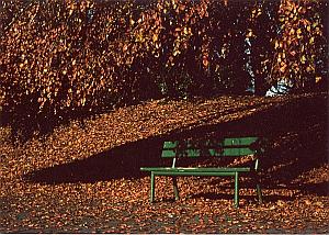 Garden Autumn Bench Study Color Deplechin Photo 1970