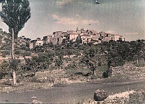 Provence Le Cannet France Autochrome Photo 1925