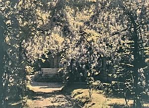 France Saint Saulve Castle Garden Autochrome 1925