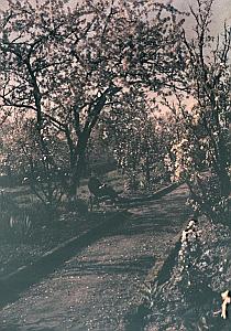 France Saint Saulve Castle Garden Autochrome 1925