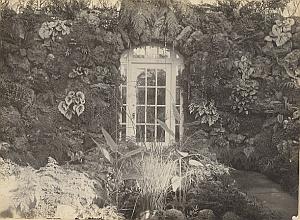 Orchid Fern Anchorage Greenhouse door USA Photo 1925
