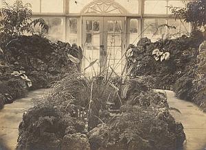 Anchorage Greenhouse Botanical USA Photo 1925