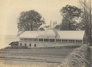 Anchorage Orchid Greenhouse Garden USA Photo 1925