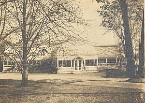 Orchid Anchorage Greenhouse Botanical USA Photo 1925
