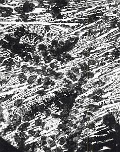 Metallography Iron Steel Study France MicroPhoto 1960
