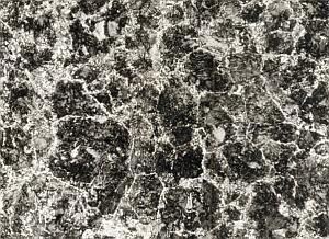 Metallography Iron Steel Study France Micrograph Abstract Photo 1960