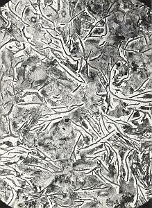 Metallography Iron Steel Study France Micrograph Abstract Photo 1960