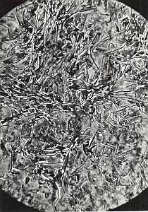 Metallography Iron Steel Study France Micrograph Abstract Photo 1960