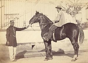 Horse Agricultural Exhibition Colmar Photo CC Adam 1867