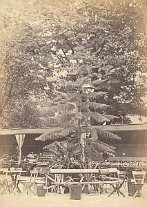 Agricultural Exhibition Colmar Old Photo CC Adam 1867