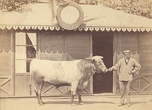 Agricultural Exhibition Colmar Old Photo CC Adam 1867