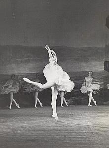 Swan Lake Moscow Dance Ballet Old Lipnitzki Photo 1955