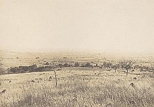 Ankatrafotsy Bara Madagascar Old Diez Photo 1924