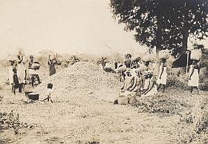Cotton Harvest Scenery Madagascar Old Diez Photo 1924