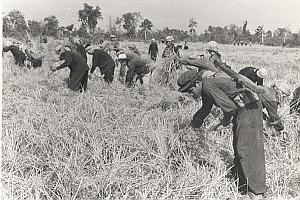 Vietnam Cambodia War Soldiers Koh Peam Old Photo 1978