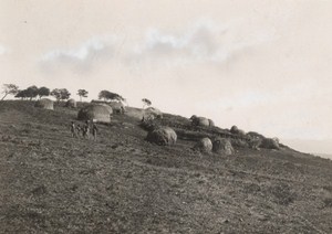 Attilio Gatti African Expedition Zulu Village Old Photo 1934