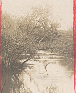 Madagascar Isalo District River Old Photo 1900