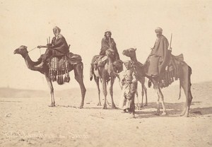 Egypt Sinai Meharistes Camel Corps Cavalry Old Photo 1880