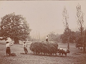 Haymaking Aix les Bains Street Scene Snapshot Instantaneous 1900