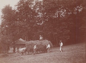 Haymaking Aix les Bains Street Scene Snapshot Instantaneous Photo 1900