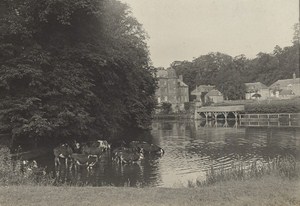 Flers sur Orne Street Scene Snapshot Instantaneous Photo 1900