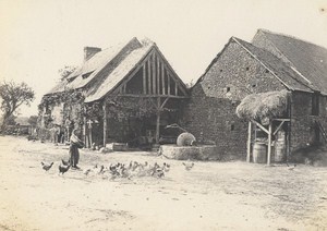 Dieppe Poultry Farm Scene Snapshot Instantaneous Photo 1900