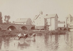 Around Fontainebleau Street Scene Snapshot Photo Instantaneous 1900