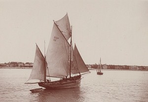Royan Boat Harbour Scene Snapshot Photo Instantaneous 1900