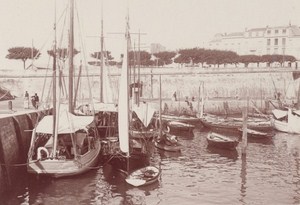 Royan Harbour Street Scene Snapshot Photo Instantaneous 1900