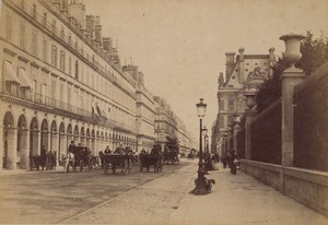 Rue de Rivoli Paris Street Life Old Animated Instantaneous Photo 1885