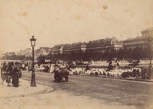 Quai aux Fleurs Paris Street Life Old Animated Instantaneous Photo 1885